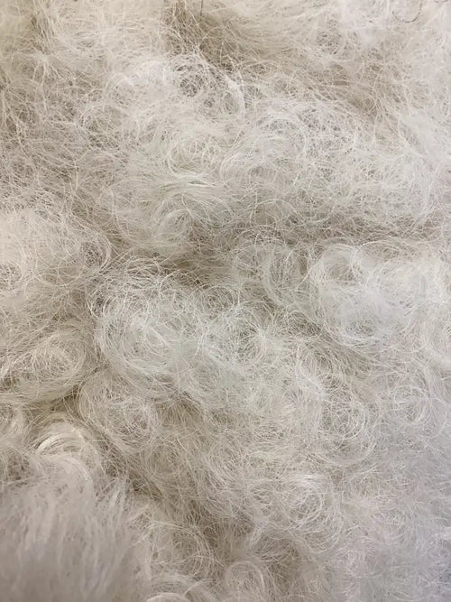 Foxy Cleo | Bold Afro Kinky Curly Wig with Bangs – Short & Stylish